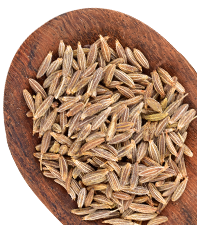 Cumin Seeds