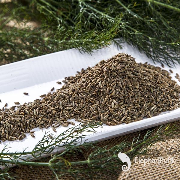 cumin plant seeds Buy Fresh Cumin Seeds (Jeera) | Fresh Jeera Seeds
