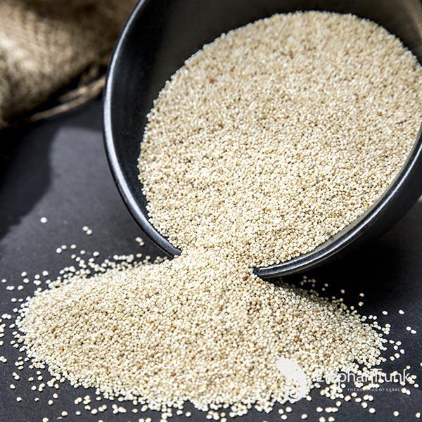 opium plant seeds Poppy Seeds | Kaskas Seeds