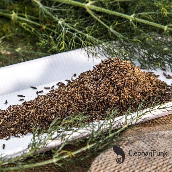 Premium Golden Digestive Caraway Seeds (Sajeera)