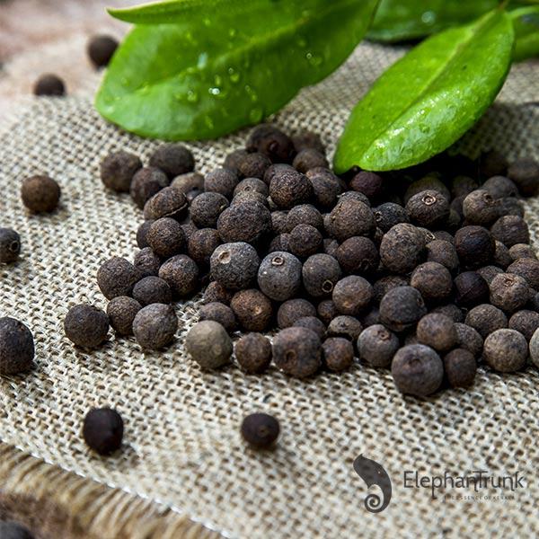 spice plant seeds Kerala's Original Allspice Seeds (Sarvasuganthai)